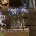 Laurel Foundry Modern Farmhouse Scabiosa and Spike Flowers in Glass Milk Bottles in Wire Holder LRFY1567